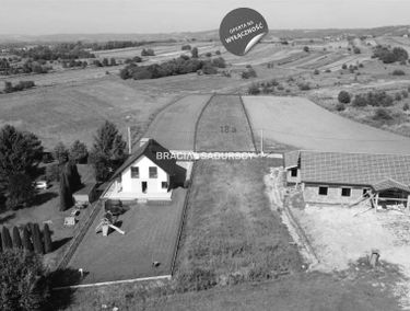 Zdjęcie 15554805