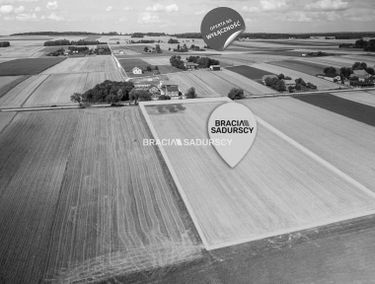 Zdjęcie 15554901