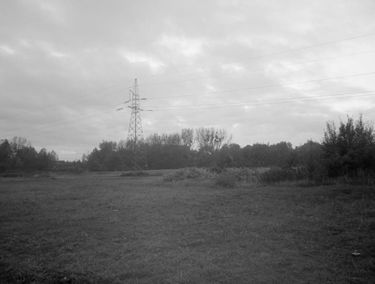 Zdjęcie 15555183