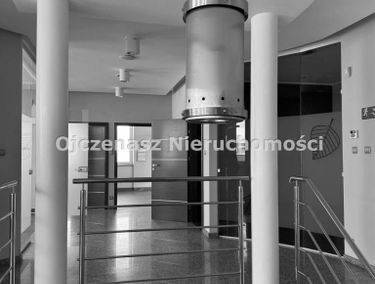 Zdjęcie 15555431