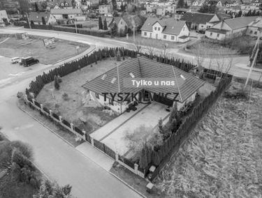 Zdjęcie 15555640