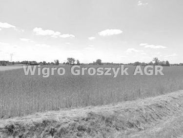 Zdjęcie 15555656