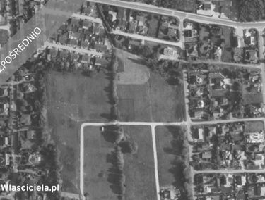 Zdjęcie 15556198