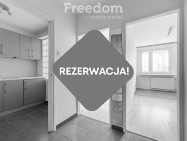 Zdjęcie 15556232