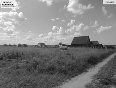 Zdjęcie 15556428