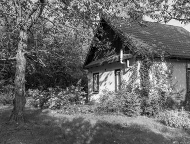 Zdjęcie 15556675