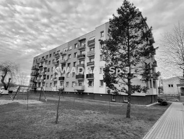 Zdjęcie 15556835