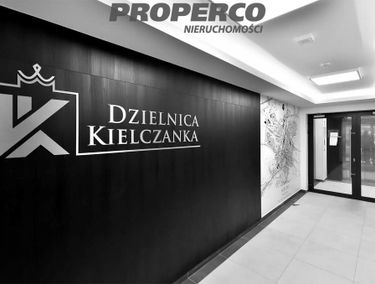 Zdjęcie 15556897