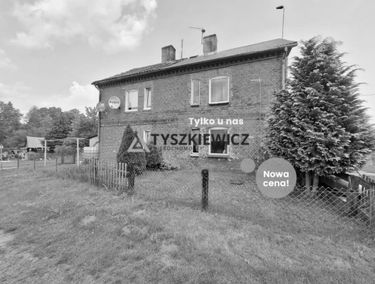 Zdjęcie 15557430