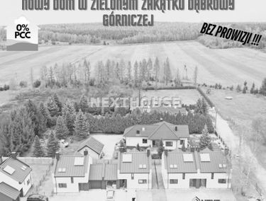 Zdjęcie 15557456