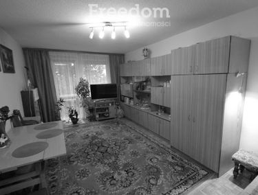 Zdjęcie 15557649