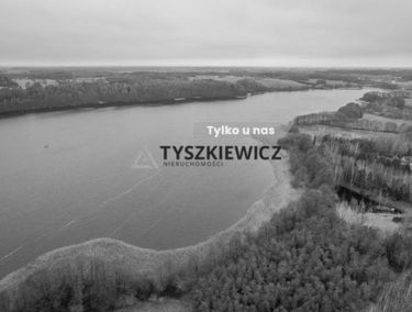 Zdjęcie 15557686