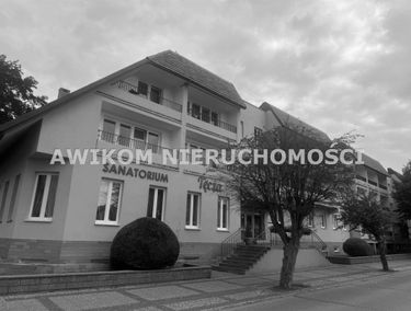 Zdjęcie 15557698