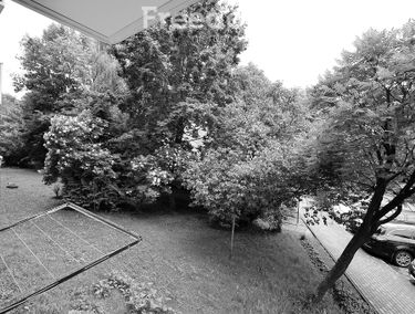 Zdjęcie 15557828