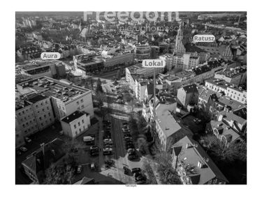 Zdjęcie 15558263