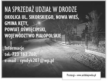 Zdjęcie 15558402