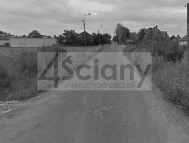 Zdjęcie 15558812