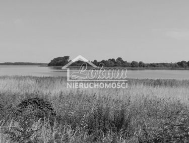 Zdjęcie 15558893
