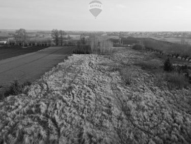 Zdjęcie 15559065