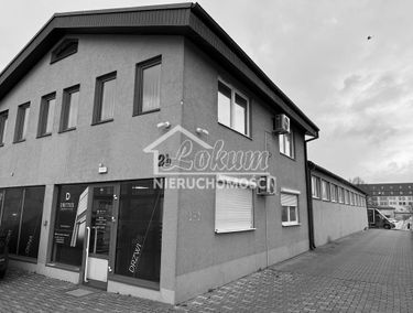 Zdjęcie 15559148