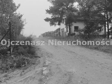 Zdjęcie 15559614