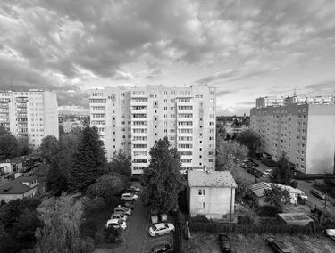 Zdjęcie 15559742