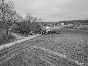 Zdjęcie 15559803