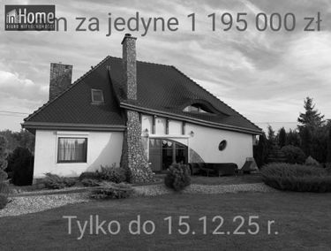 Zdjęcie 15560082