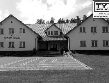 Zdjęcie 15560166