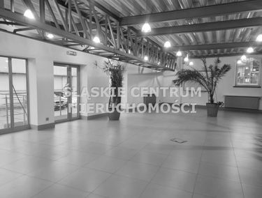 Zdjęcie 15560362