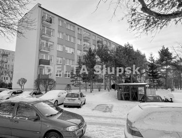 Zdjęcie 15560641