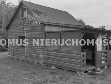 Zdjęcie 15560701