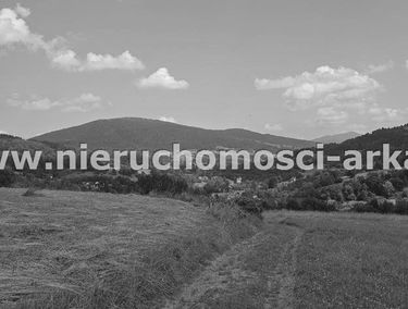 Zdjęcie 15561012
