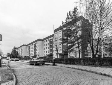 Zdjęcie 15561064
