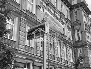 Zdjęcie 15561086