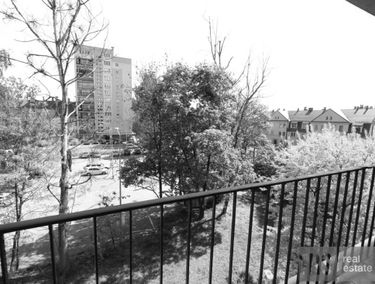 Zdjęcie 15561143