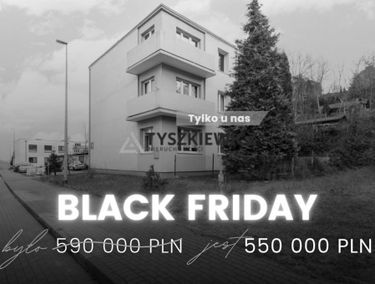 Zdjęcie 15561208
