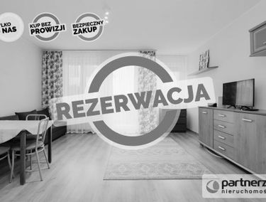 Zdjęcie 15561455