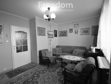 Zdjęcie 15561579