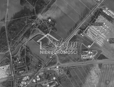 Zdjęcie 15561895