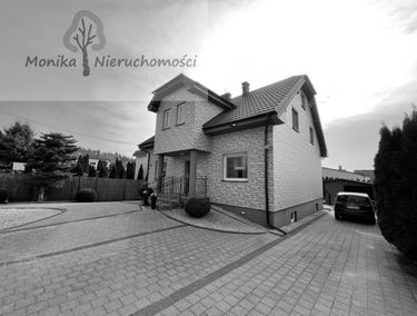Zdjęcie 15562288