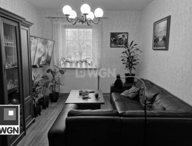 Zdjęcie 15562411