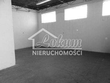 Zdjęcie 15562454