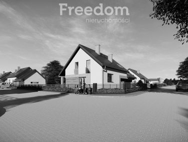 Zdjęcie 15562573