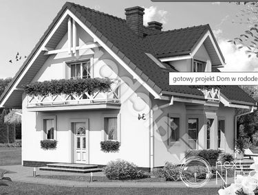 Zdjęcie 15562904