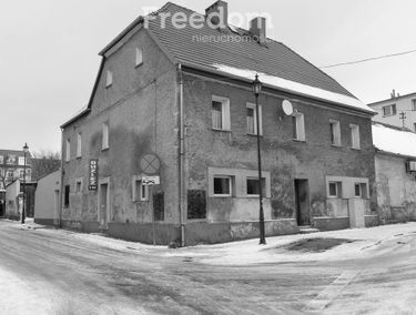 Zdjęcie 15563137