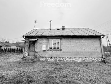 Zdjęcie 15563176
