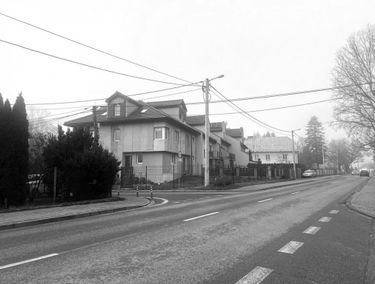 Zdjęcie 15563316