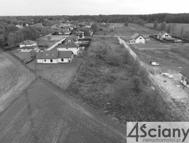 Zdjęcie 15563919