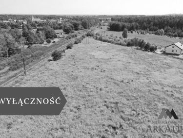 Zdjęcie 15563987